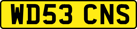 WD53CNS