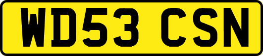 WD53CSN
