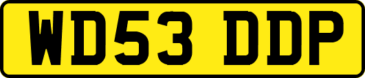 WD53DDP