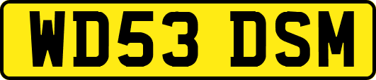 WD53DSM