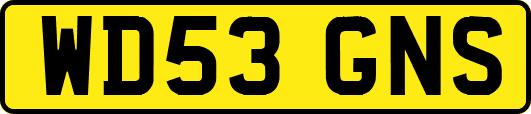 WD53GNS