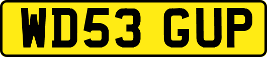 WD53GUP