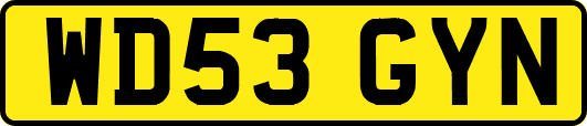 WD53GYN