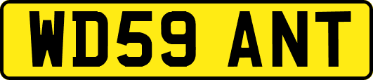 WD59ANT