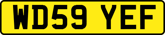 WD59YEF