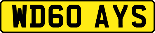 WD60AYS