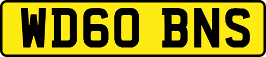 WD60BNS