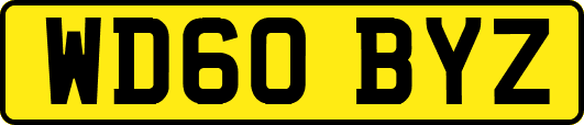 WD60BYZ