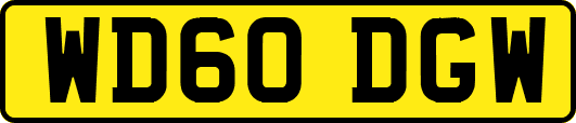 WD60DGW