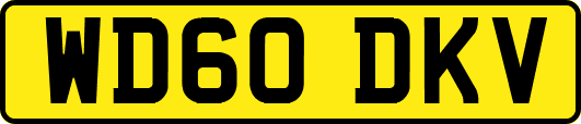 WD60DKV