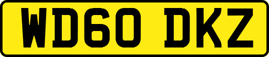 WD60DKZ