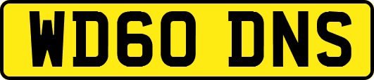 WD60DNS