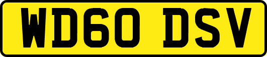 WD60DSV