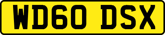 WD60DSX