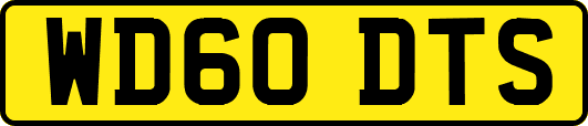 WD60DTS
