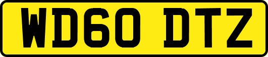 WD60DTZ