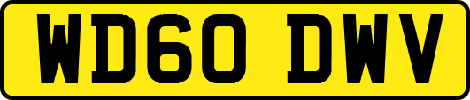 WD60DWV