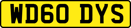 WD60DYS