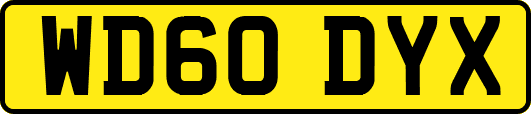 WD60DYX