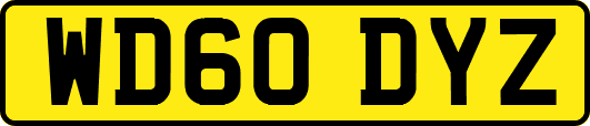 WD60DYZ