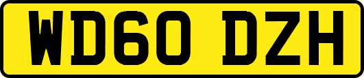 WD60DZH