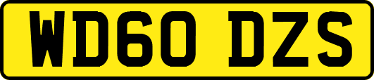 WD60DZS