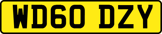 WD60DZY