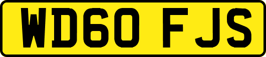 WD60FJS