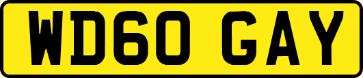 WD60GAY