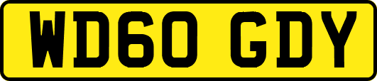 WD60GDY