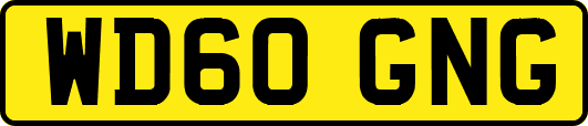 WD60GNG