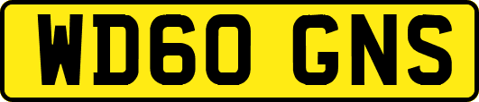 WD60GNS