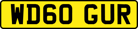 WD60GUR