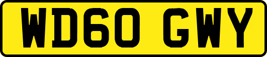 WD60GWY