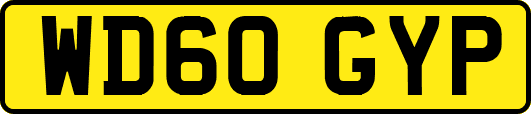 WD60GYP