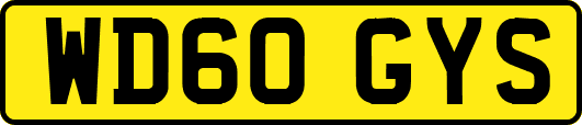 WD60GYS