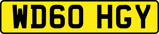 WD60HGY