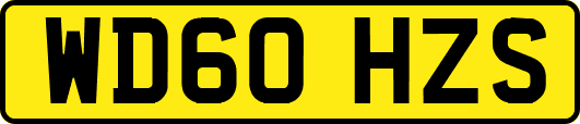 WD60HZS