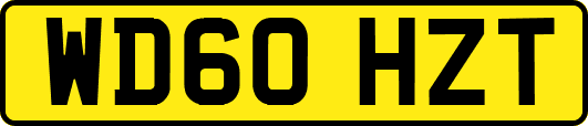 WD60HZT