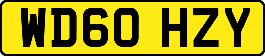 WD60HZY