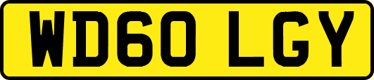 WD60LGY