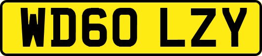 WD60LZY