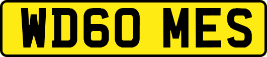 WD60MES
