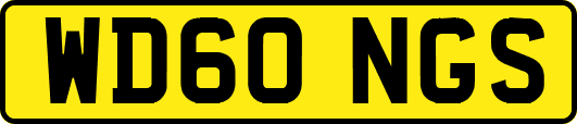 WD60NGS
