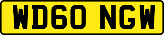 WD60NGW