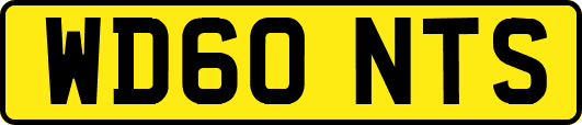WD60NTS