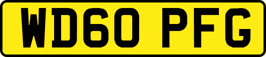 WD60PFG