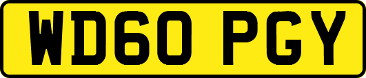 WD60PGY