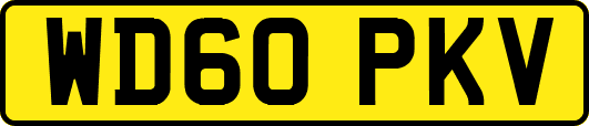 WD60PKV