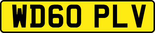 WD60PLV
